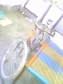 7 gare cycle