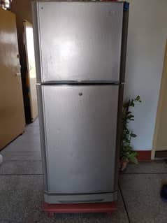 PEL REFRIGERATOR Medium Size Urgent Sale