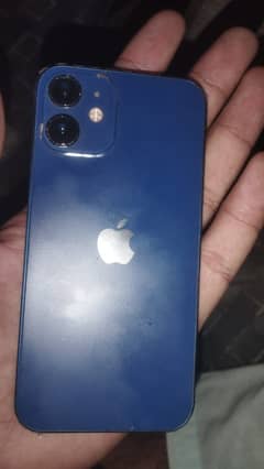 I phone 12 mini
