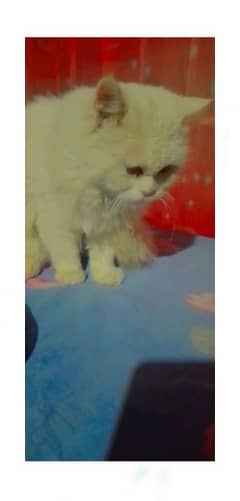 assalamu