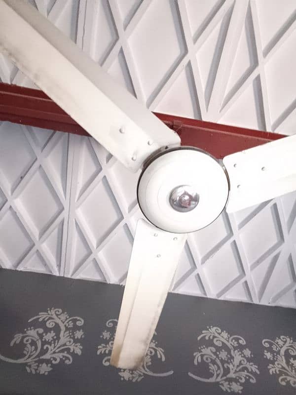 ceiling fans in running condition 0