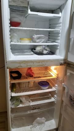 PEL Refrigerator ARCTIC series Jumbo Size