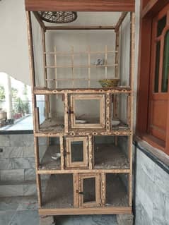 birds cage urgent sale