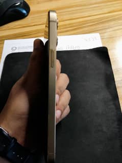 Iphone 12 pro max PTA APPROVED 128Gb