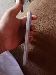 iPhone 14 Plus