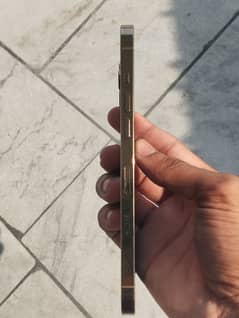 iPhone 12 Pro Max non PTA