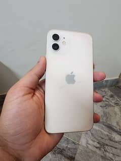 iphone 12 pta approve.