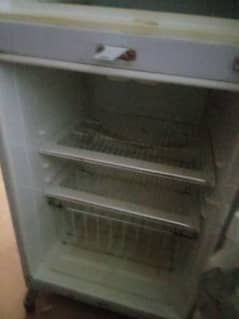 used candeshan