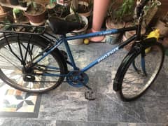 Cycle