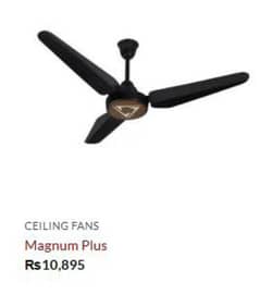 Three Fans of Different Styles Original SK Available
