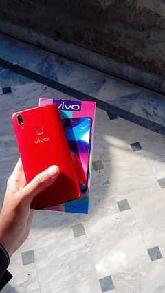 vivo