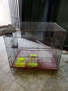cages plus box