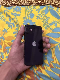 iPhone 12 mini