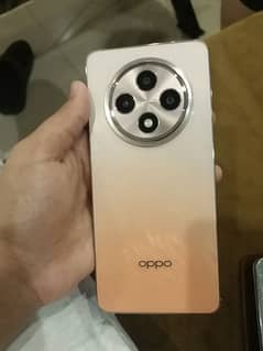 oppo reno 12f 5g 8gb 256gb