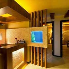 Door to Door Spa Services.
