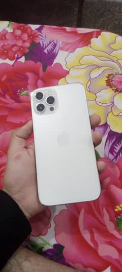Iphone 12 pro max | Pta approved