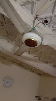 fan all ok speed vip pure copper fan