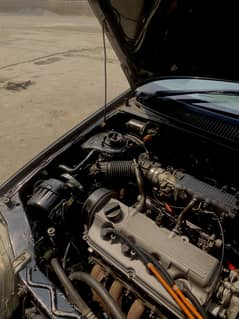 Cultus efi 2007