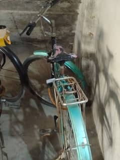 cycle mountain