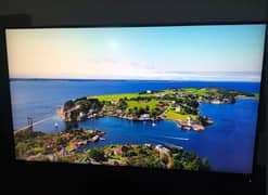 4k ThinkVision 31.5 inch Monitor - P32p-20