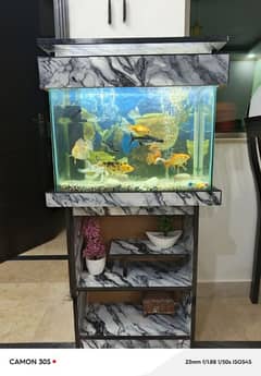 fish aquarium sale islambad