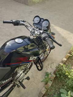 Yamaha