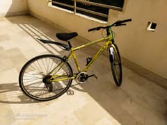 Precision Cycle