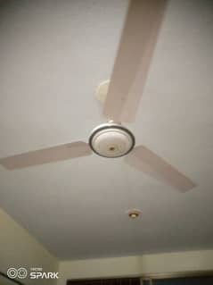 56" selling fan