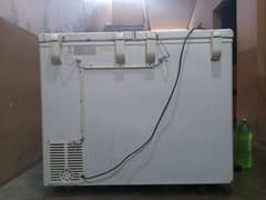 D Freezer For Sale