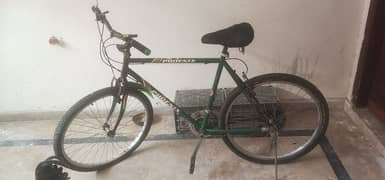 phoinex