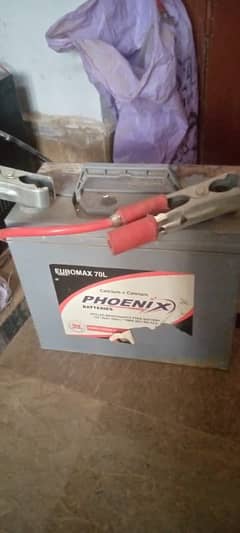 Phoenix