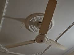 ceiling fan yunus fan
