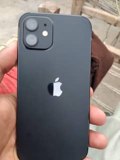 Ip