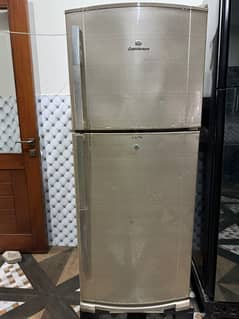 fridge
