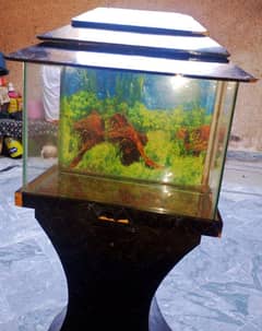 fish aquarium good condition