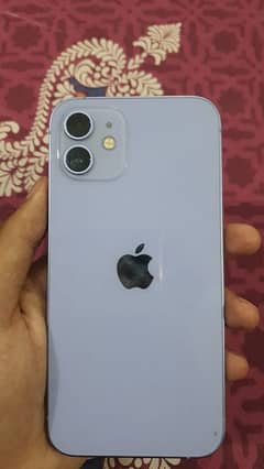 IPHONE 12 JV