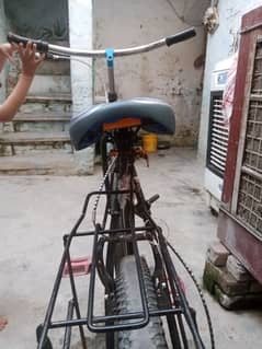 ponex