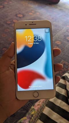 iphone 7plus 256gb pta approve