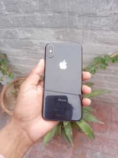 03704465306