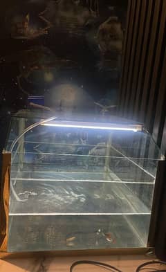 25 gallon tank For sale best for aqua-scapers