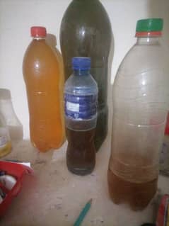 Shahid avlble for sale. . pure jangli shahid. . 1800. rupy kg. .