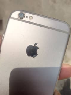 iphone 6