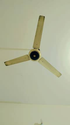best fan koi bhi masla nahi hai Dono Chalte Hain repair Nahin hue