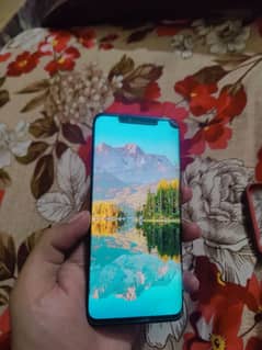 Huawei mate 20 pro
