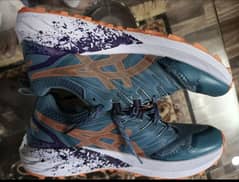 Asics Premium Quality shoes UK 8 size