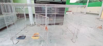 birds house