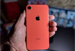 03193166606