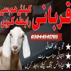 qasai