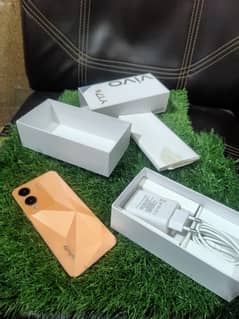 Vivo Y17s 6+6/128