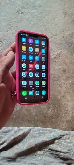 vivo